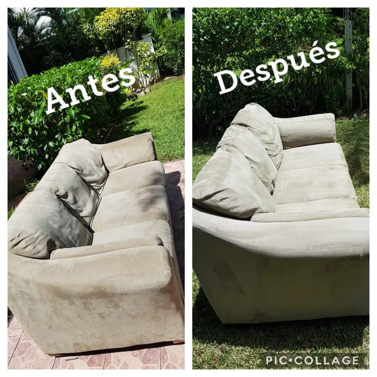 Limpieza profesional de sofá tapizado con extractor en hogar residencial.