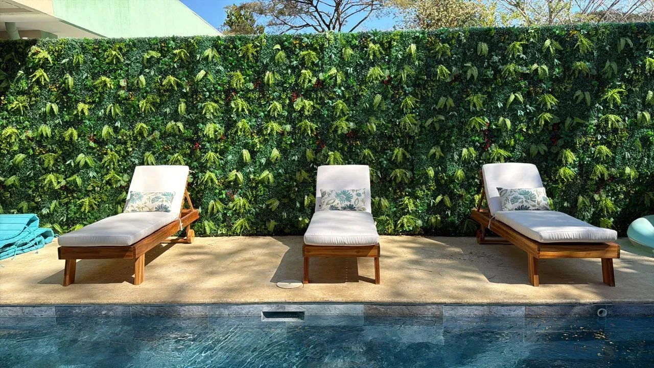 Three natural-wood sun loungers with white cushions lined up in front of a living wall beside a pool.